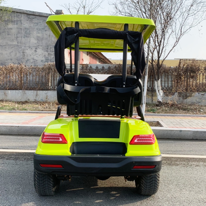 공장가 2인승 고급 전기 골프 카트 60V 72V 리튬 - Luxury Bags Price 리뷰 및 가격
